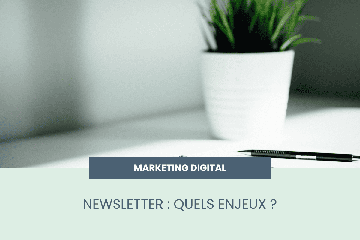 newsletter marketing digital